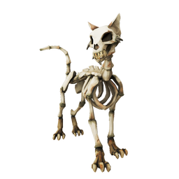 Skeleton Mau