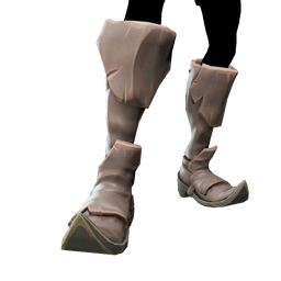 Pointed Boots