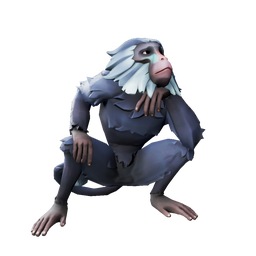 Midnight Indigo Barbary