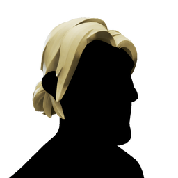 Ponytail Hair