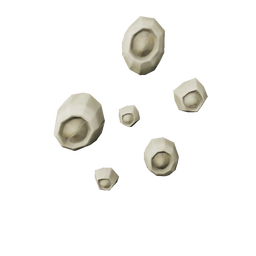 Bounteous Barnacles