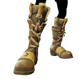 Rogue Sea Dog Boots