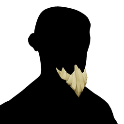 Silver Coin Beard