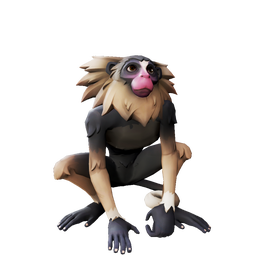 Nightpaw Marmoset