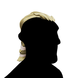 Executive Admiral Hair