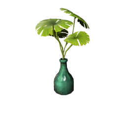 Parasol Plant