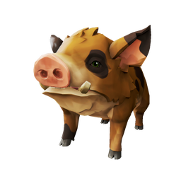 Truffle Pig