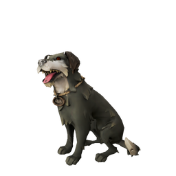 Spiffy (pet)