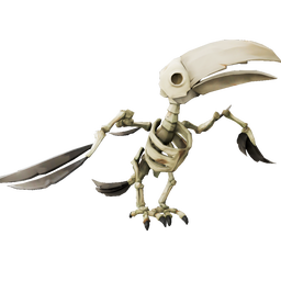 Skeleton Toucan