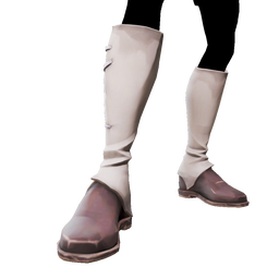 Silver Coin Boots