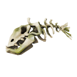 Splashtail Skeleton