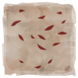 Flags of Friendship Scar