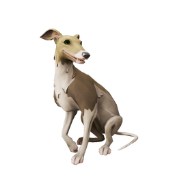 Streaked Whippet