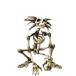 Skeleton Marmoset