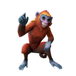 Sunset Capuchin