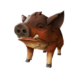 Cinnamon Pig