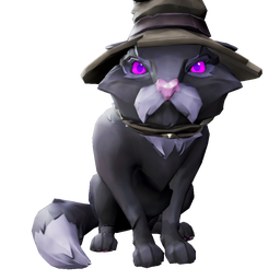 Coral Coven Cat