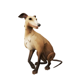 Fawn Whippet