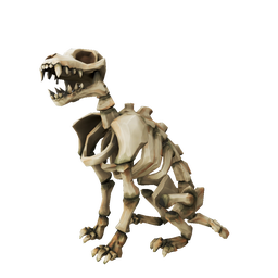 Skeleton Alsatian