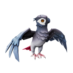 Grey Wing Parakeet