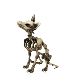 Skeleton Fox