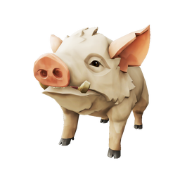 Oatmeal Pig