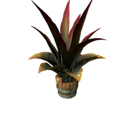 The Devil's Rosette