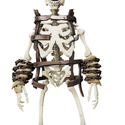 Rib Caged Upper Body