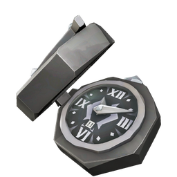 Hunter Pocket Watch