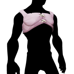 Pink Corset Shirt