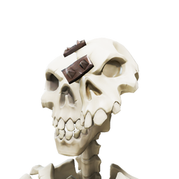 Repaired Skull