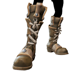 Renegade Sea Dog Boots