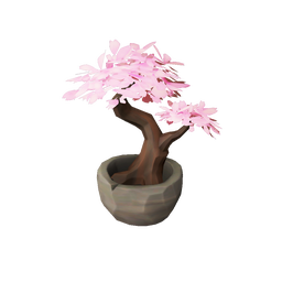 Blossoming Bonsai