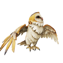 Barn Owl